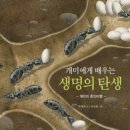 개미어린이집 - 목포시 | 개미어린이집