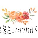 도담떡갈비
