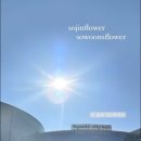 현대플라워 이미지