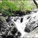 설피농장 이미지