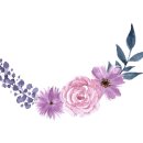 벌교이마트 이미지