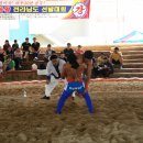 숲쟁이로L 네이버블로그