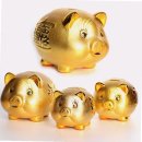 꽃분이네 이미지