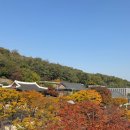 세븐일레븐인천문학공원점 | 인천 미추홀구 가을 피크닉 명소 BEST 3 수봉공원 용정근린공원 용현도시농업공원