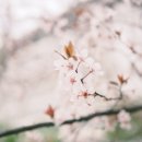 바른이김대식치과의원 이미지