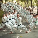 대상태권도장 이미지