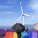 바람언덕 이미지