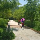 람사르습지길 이미지