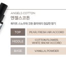 소피&엔젤