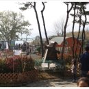 돼지문화원정원 네이버블로그