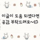 하박사기정떡 이미지