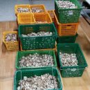 형지농장 이미지