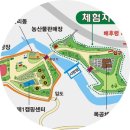 동춘천농협김유정지점 | 반려견동반캠핑) 국립화천숲속야영장