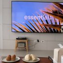 다섯테이블 | 갤러리아 센터시티 몽키우드 테이블+체어 구매/사용 후기