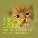 상아동물병원 이미지