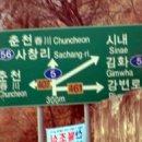 대붕초등학교 이미지