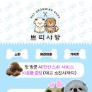 쁘띠샤방 이미지