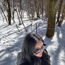 설악산 울산바위 | 켄싱턴호텔 설악 | 한화리조트 설악워터피아 | 설악산 둘레길 | 속초맛생대구탕...