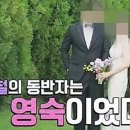 영숙농장 이미지