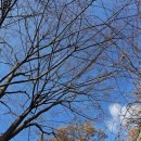 하우농장 이미지