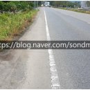 손덕문 공인중개사사무소 이미지