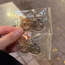 마지막 무대인사 후기🍀🍀 이미지