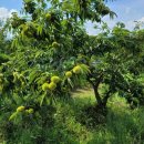 몸사랑한의원 이미지