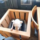 선사숯불닭갈비 이미지