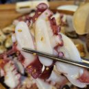 소라인(in)문어 이미지