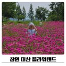 창원 대산플라워랜드 6월 방문후기