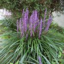 크린데이 이미지