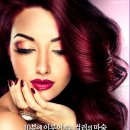 셰르헤어 - 동구 | 셰르헤어