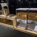 호텔 월 이미지