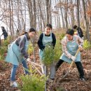 행보 태양광발전소 이미지