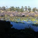 핀크스비오토피아 콘도미니엄 이미지