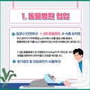 우쭈쭈플렉스 강아지 유치원 호텔 이미지