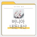 버니아 내돈내산후기, 효과, 부작용, 가격, 성분, 복용법