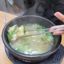 알파문구진주