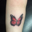 미군부대(K-55) 정문 옆 이미지