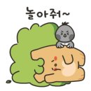 고양이별 캣 카페 이미지