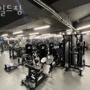 와일드짐 이미지