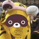 민우 체육관 | 개막하랬더니 개 막하는 nc 다이노스 외면하고 농구 보러 감ㅣ창원 엘지 우승