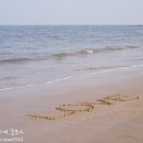 서해바다 이미지