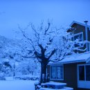 새이모퉁이 이미지