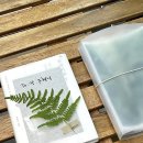 고사리맨션이 이미지