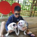 하늘채 펜션 이미지