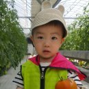 월포농장 이미지