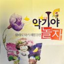 동아아트홀 | [대구어린이공연추천]5살 아이가 바이올린에 반한 악기체험 공연 '악기야 놀자'후기