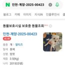 신영재동물병원 이미지