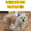 지에스25(GS25) 용인문예회관점